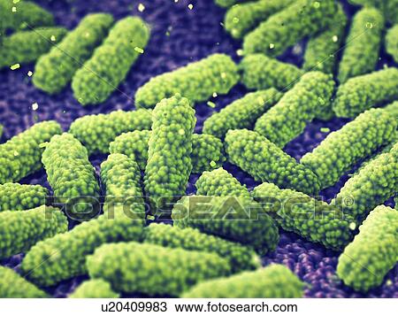 Stock Image - Bacteria, illustration. Fotosearch