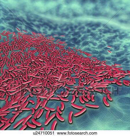 Stock Image - Bacteria, illustration. Fotosearch