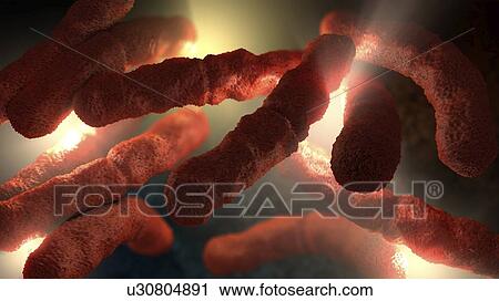 Stock Image - Bacteria, illustration. Fotosearch