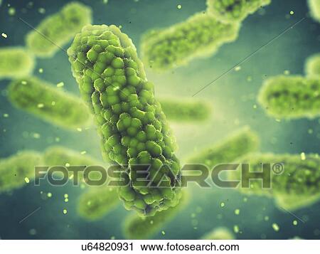 Bacteria, illustration View Large Photo Image Stock Image - Bacteria, illustration. Fotosearch