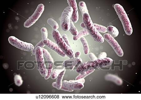 Stock Photo - Bacteria, illustration. Fotosearch