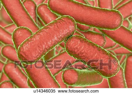 Stock Photography - Bacteria, illustration. Fotosearch