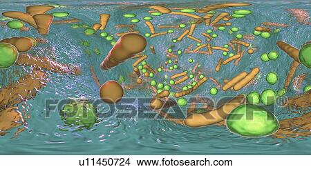 Picture - Bacteria in a biofilm, illustration. Fotosearch