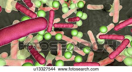 Picture - Bacteria in a biofilm, illustration. Fotosearch