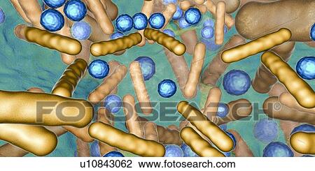 Stock Image - Bacteria in a biofilm, illustration. Fotosearch