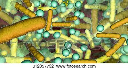 Bacteria in a biofilm, illustration View Large Photo Image Stock Image - Bacteria in a biofilm, illustration. Fotosearch