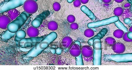 Stock Image - Bacteria in a biofilm, illustration. Fotosearch