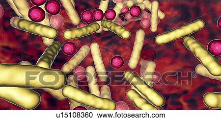 Bacteria in a biofilm, illustration View Large Photo Image Stock Image - Bacteria in a biofilm, illustration. Fotosearch