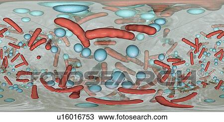 Stock Image - Bacteria in a biofilm, illustration. Fotosearch