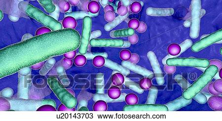 Stock Image - Bacteria in a biofilm, illustration. Fotosearch