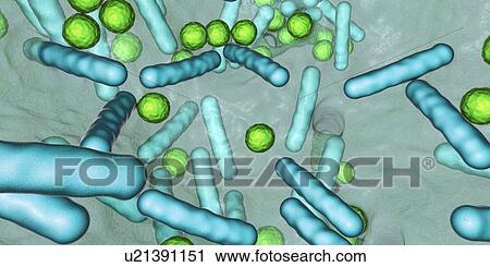 Stock Image - Bacteria in a biofilm, illustration. Fotosearch