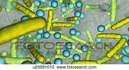 Bacteria in a biofilm, illustration View Large Photo Image Stock Image - Bacteria in a biofilm, illustration. Fotosearch