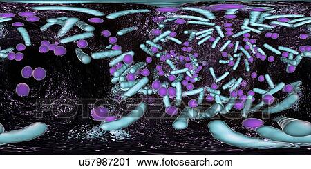 Bacteria in a biofilm, illustration View Large Photo Image Stock Image - Bacteria in a biofilm, illustration. Fotosearch
