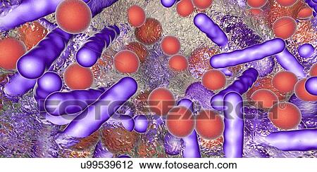 Bacteria in a biofilm, illustration View Large Photo Image Stock Image - Bacteria in a biofilm, illustration. Fotosearch