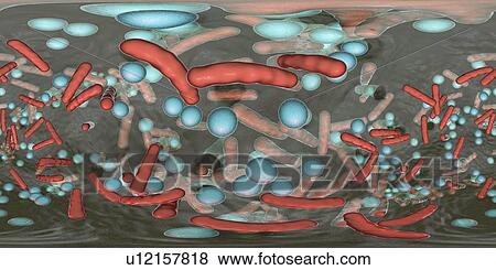 Bacteria in a biofilm, illustration View Large Photo Image Stock Photo - Bacteria in a biofilm, illustration. Fotosearch