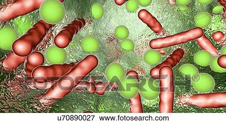 Stock Photo - Bacteria in a biofilm, illustration. Fotosearch