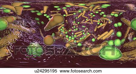 Bacteria in a biofilm, illustration View Large Photo Image Stock Photography - Bacteria in a biofilm, illustration. Fotosearch