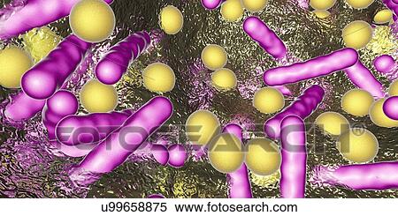 Bacteria in a biofilm, illustration View Large Photo Image Stock Photography - Bacteria in a biofilm, illustration. Fotosearch