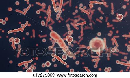 Stock Photo - Bacteria, viruses and cells, illustration. Fotosearch