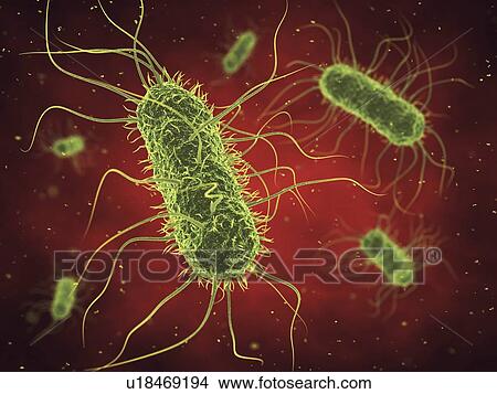 Picture - Bacterial infection, illustration. Fotosearch