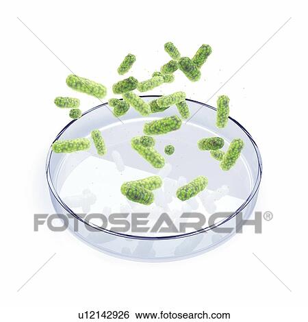 Stock Photograph - Bacterial research, conceptual illustration. Fotosearch