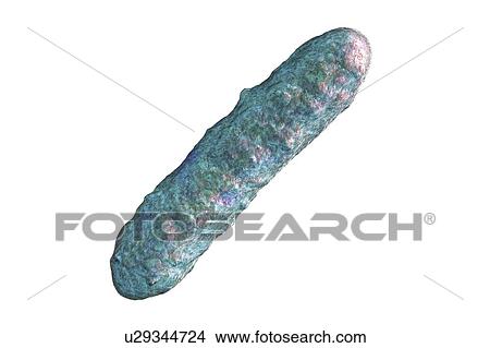 Picture - Bacterium, illustration. Fotosearch