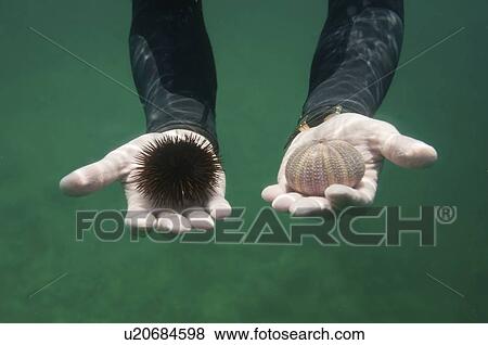 Stock Photo - Bad choice, conceptual image. Fotosearch