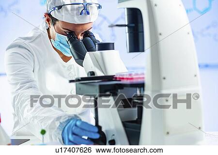 Biology researcher looking through microscope View Large Photo Image Stock Photograph - Biology researcher looking through microscope. Fotosearch