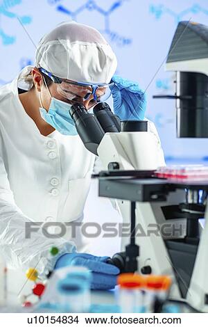 Picture - Biotechnology engineer inspecting cell culture flask. Fotosearch
