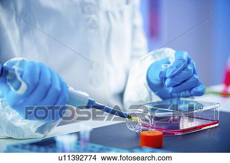 Biotechnology research View Large Photo Image Picture - Biotechnology research. Fotosearch