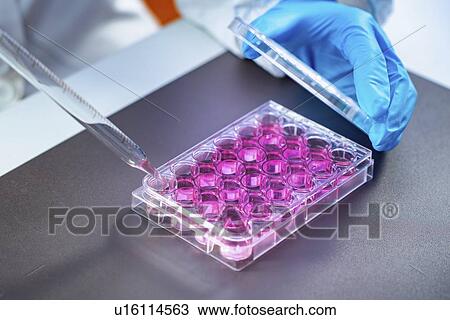 Biotechnology research View Large Photo Image Stock Image - Biotechnology research. Fotosearch