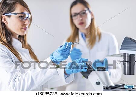 Biotechnology research View Large Photo Image Stock Photograph - Biotechnology research. Fotosearch