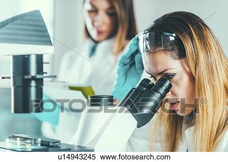 Biotechnology research View Large Photo Image Stock Photography - Biotechnology research. Fotosearch