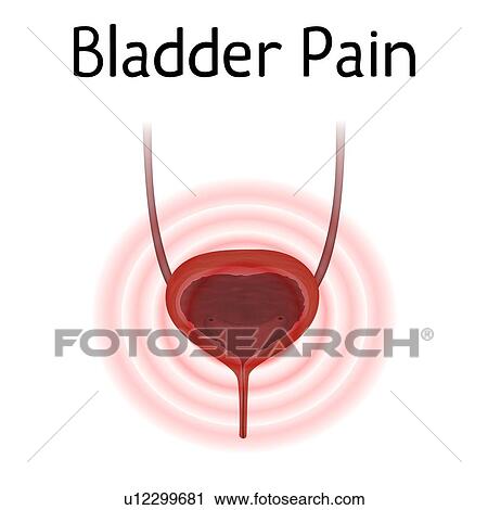 Bladder pain, illustration View Large Photo Image Stock Image - Bladder pain, illustration. Fotosearch