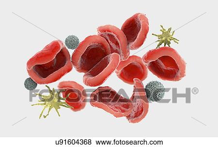 Stock Photo - Blood cells, illustration. Fotosearch