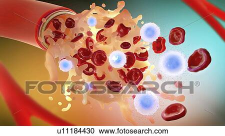 Stock Image - Blood components, illustration. Fotosearch