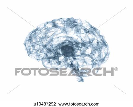 Brain network connections, illustration View Large Photo Image Stock Image - Brain network connections, illustration. Fotosearch