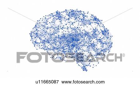 Brain neural network, illustration View Large Photo Image Stock Photo - Brain neural network, illustration. Fotosearch