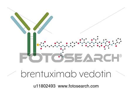 Stock Image - Brentuximab vedotin antibody-drug conjugate, molecular model. Fotosearch