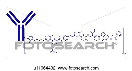 Stock Image - Brentuximab vedotin antibody-drug conjugate, molecular model. Fotosearch