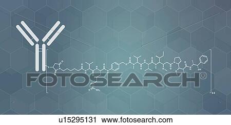 Stock Image - Brentuximab vedotin antibody-drug conjugate, molecular model. Fotosearch