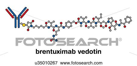 Stock Photo - Brentuximab vedotin antibody-drug conjugate, molecular model. Fotosearch