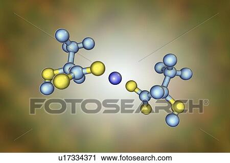 Stock Image - Calcium lactate, molecular model. Fotosearch