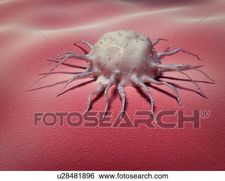 Stock Photograph - Cancer cell, conceptual illustration. Fotosearch