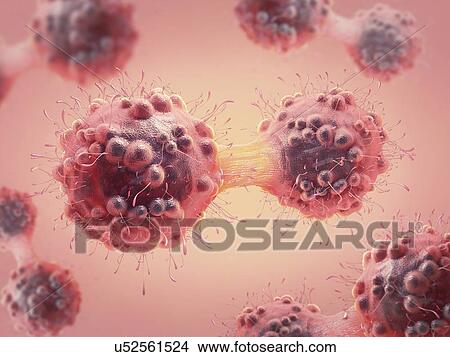 Cancer cell dividing, illustration View Large Photo Image Picture - Cancer cell dividing, illustration. Fotosearch