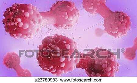Stock Image - Cancer cell dividing, illustration. Fotosearch