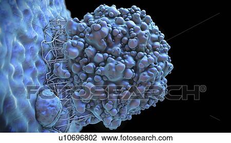 Cancer cell, illustration View Large Photo Image Stock Image - Cancer cell, illustration. Fotosearch