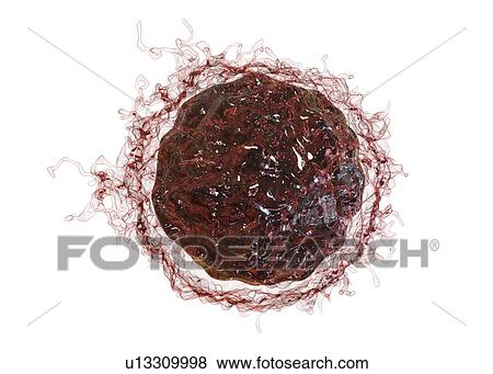Cancer cell, illustration View Large Photo Image Stock Photo - Cancer cell, illustration. Fotosearch
