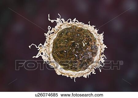 Stock Photography - Cancer cell, illustration. Fotosearch
