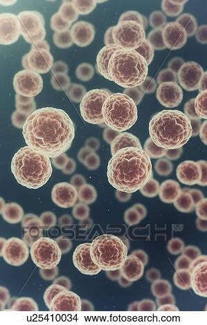 Cancer cells, illustration View Large Photo Image Picture - Cancer cells, illustration. Fotosearch